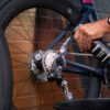Bio Drivetrain Detox